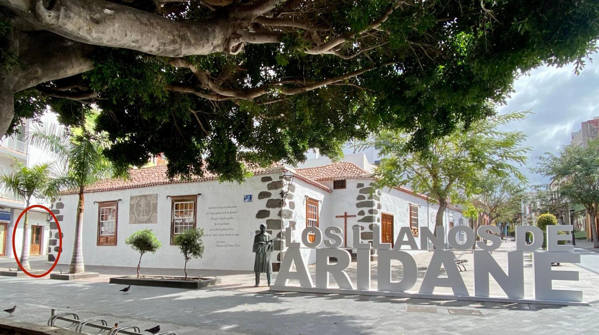 Vista Plaza - Exceptional Location Lejlighed Los Llanos De Aridane Eksteriør billede